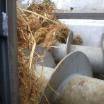 Nutrifeed Synergyc