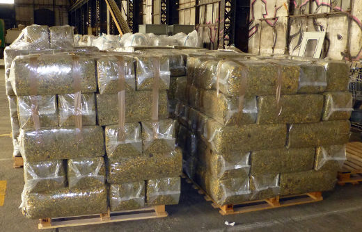 Instal.laci&oacute; per a la producci&oacute; de bales per l&rsquo;alimentaci&oacute; animal